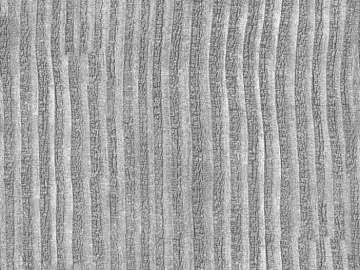 plain cloth texture (ID:ffacg41365)