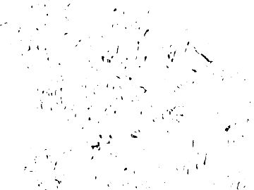 Highlight Mask texture (ID:ffacg74637)