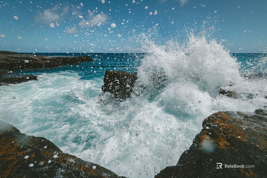 Wild Scenery texture