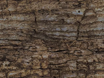 Dark brown aged wood wall paneling texture (ID:ffaeh137826)
