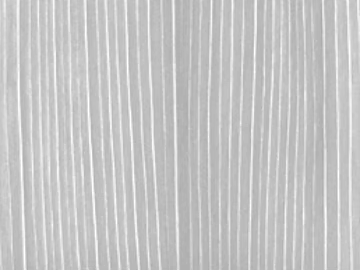 Black and White Bump texture (ID:ffagf8338)