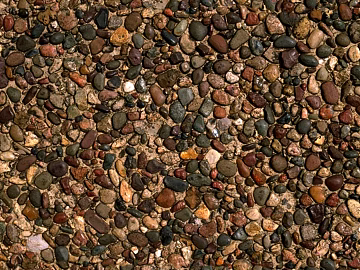 Gravel ground pebbles texture (ID:ffach638274)