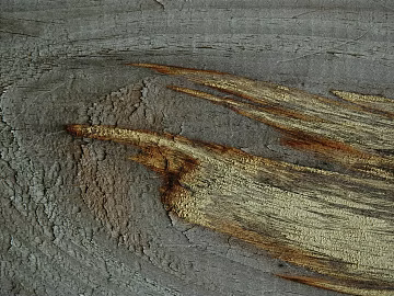 old wood texture (ID:ffagg88351)