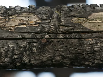carbon-fired wood carbon black texture (ID:ffagg90457)