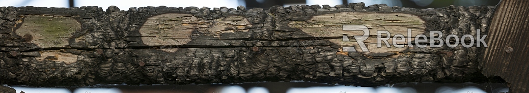 carbon burning wood texture