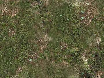Turf texture (ID:ffagf4137)