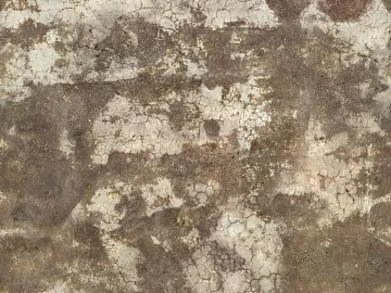 concrete seamless texture (ID:ffacf2673)