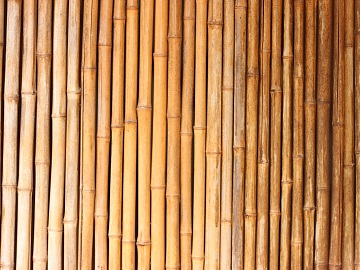 Bamboo texture (ID:ffagf4590)