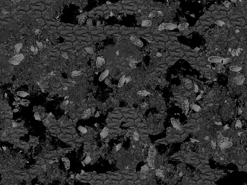 Black and White Bump texture (ID:ffabg02008)