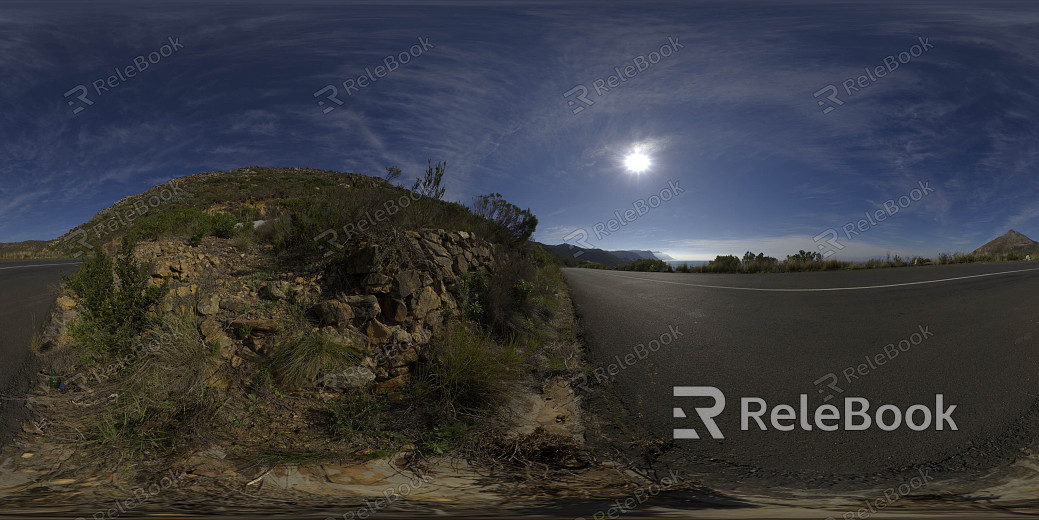 wild hdri texture