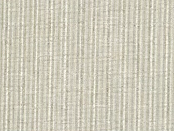 plain cloth texture (ID:ffaag65255)