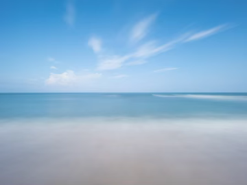 Wild Scenery texture (ID:ffach146965)