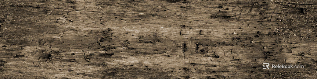 old wood texture