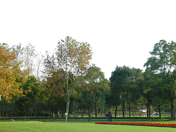 Park Exterior texture (ID:ffajg14416)