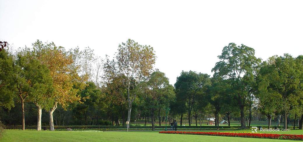 Park Exterior texture