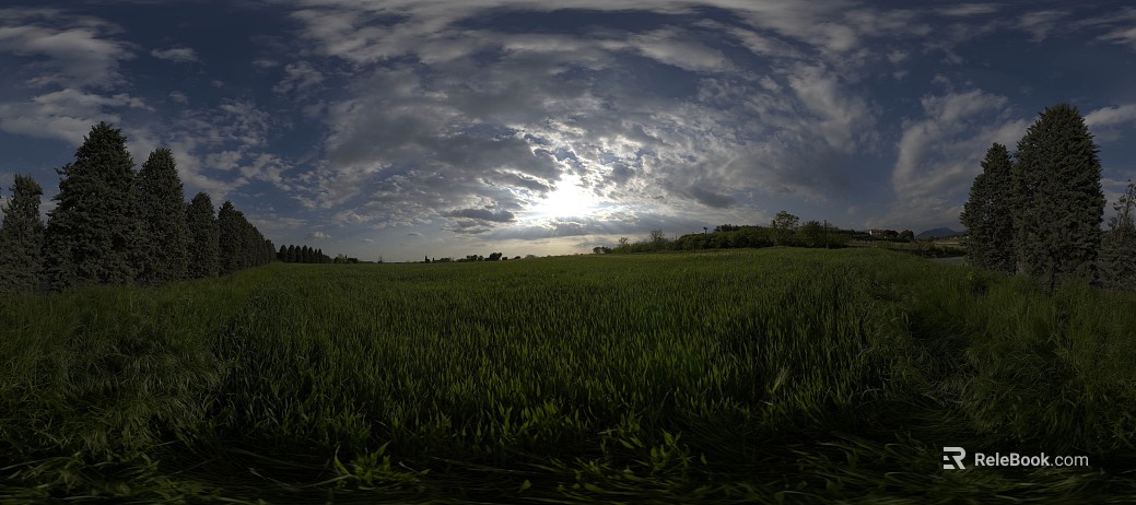 Outdoor Country Lawn Daytime HDR texture