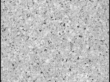 Granite 3d model