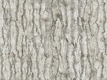 bark texture (ID:ffaeg58642)