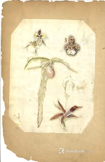 Plant painting texture
