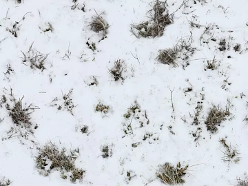 Ground-Snow texture (ID:ffaaf7733)