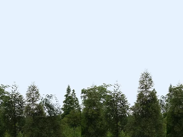 Wild Scenery texture (ID:ffadf4496)