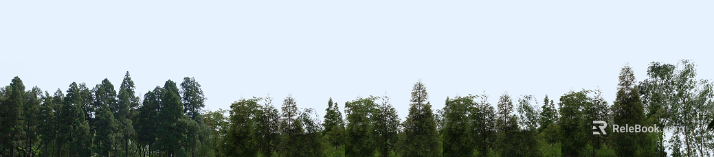 Wild Scenery texture