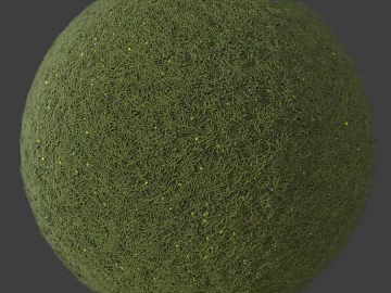 Grassland PBR 3d model