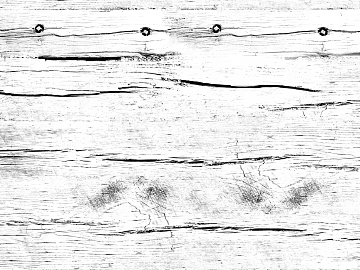 Black and white wood grain texture (ID:ffagg91413)