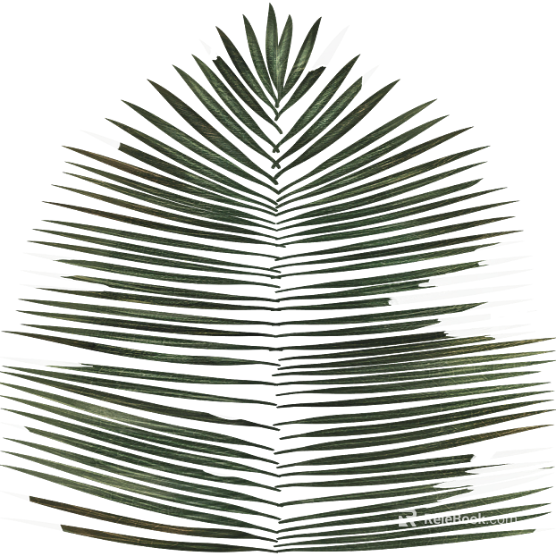 Dark green palm leaf natural decoration texture