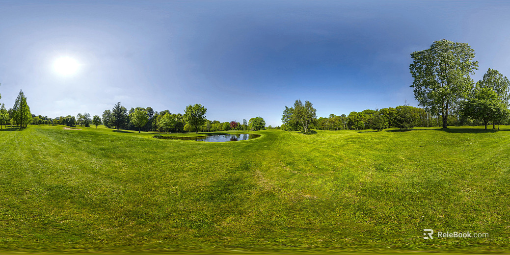 Outdoor HDR Grass Woods HDR texture