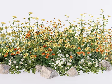 Yellow and White Wild Flowers Landscape Landscaping texture (ID:ffaeh750386)