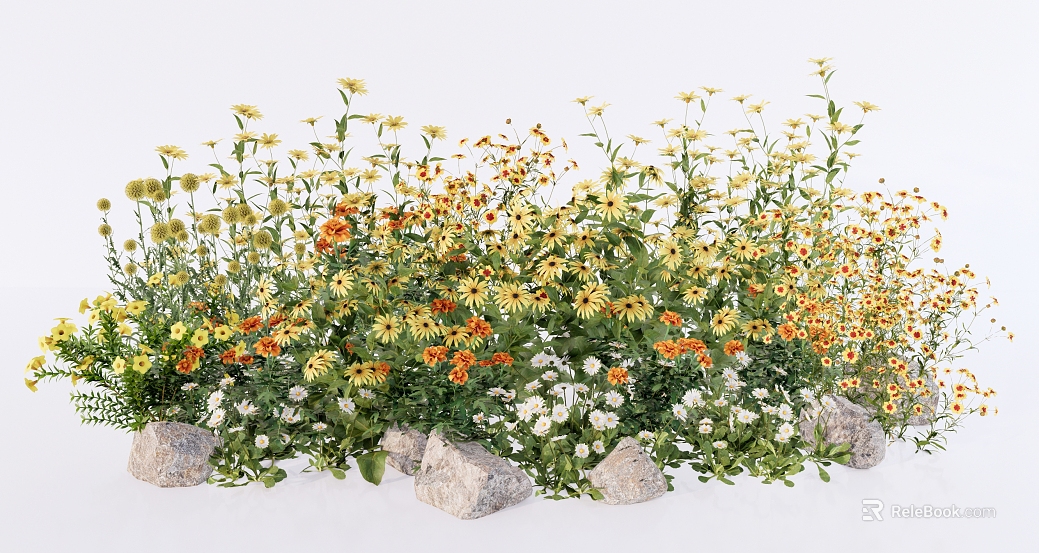 Yellow and White Wild Flowers Landscape Landscaping texture