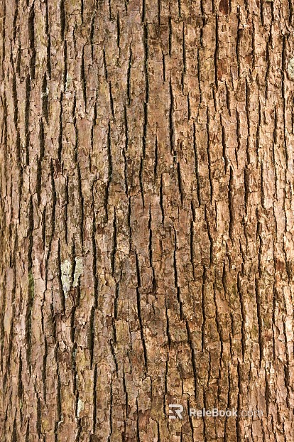 Dark Sepia Tree Skin Map texture