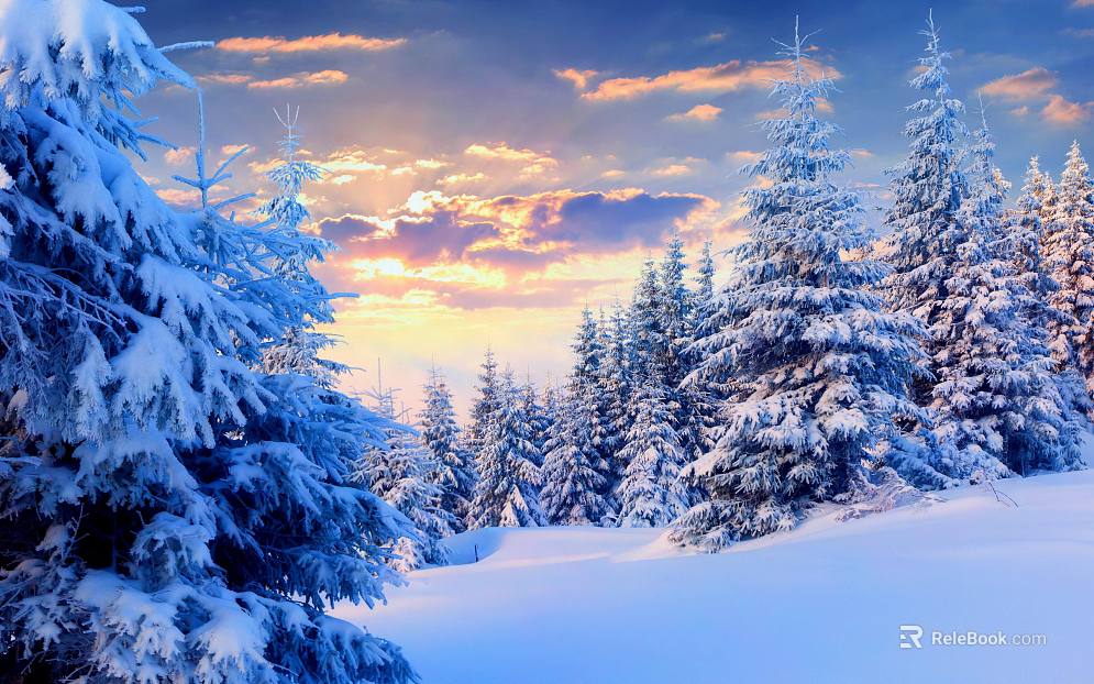 Wild Scenery texture