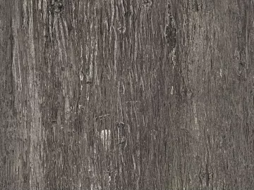 bark texture (ID:ffach770436)