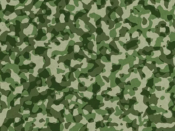 Camouflage 3d model