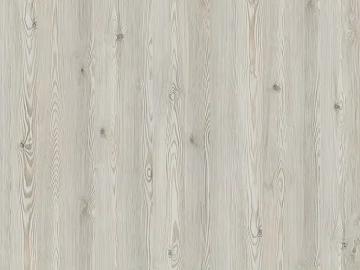 white mountain pine 3d model
