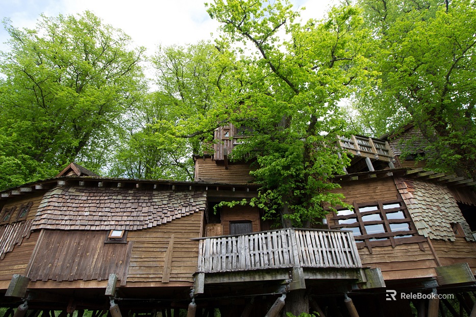 Natural Wooden House texture