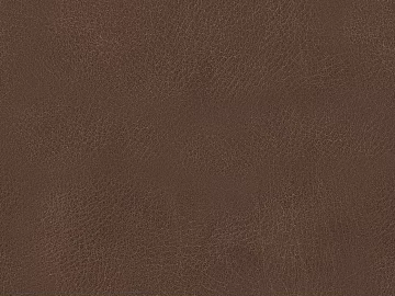 fine grain leather texture (ID:ffacg17315)