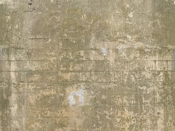 Cement texture (ID:ffach232941)