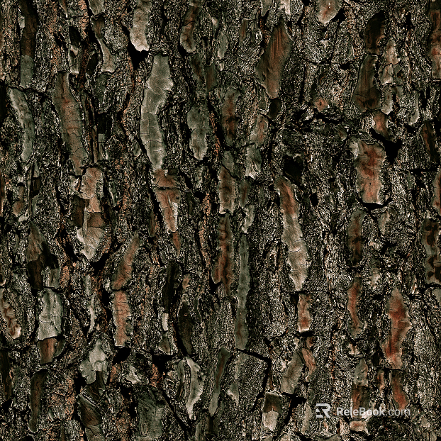bark texture