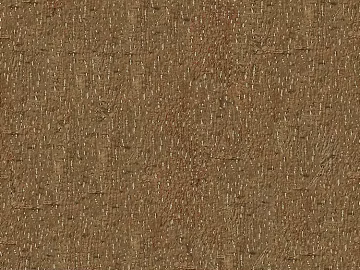 bark 3d model