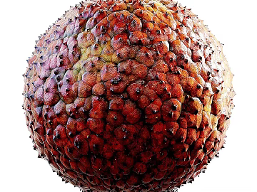 Biological PBR texture (ID:ffach666994)