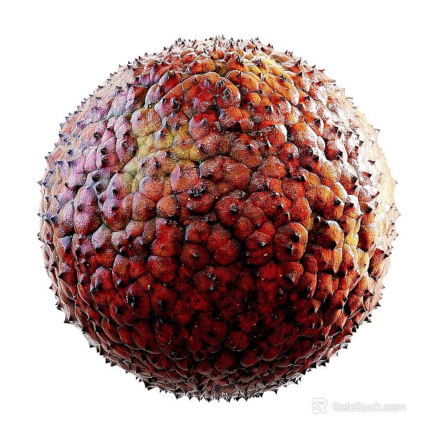Biological PBR texture