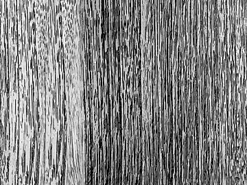 Black and White Bump texture (ID:ffajg46455)