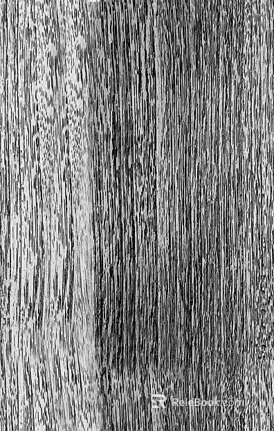 Black and White Bump texture