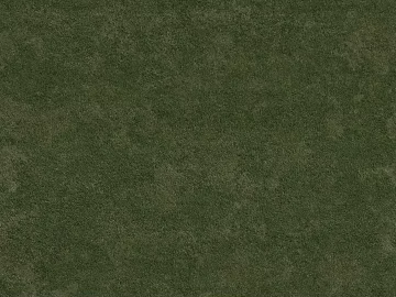 Turf texture (ID:ffagg53374)