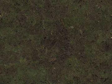 Turf texture (ID:ffajg65794)