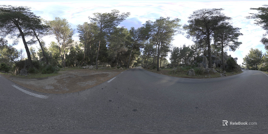 Leisure Park Road HDR texture