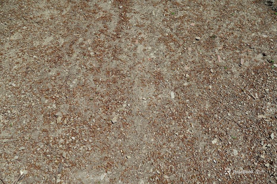 Sand texture